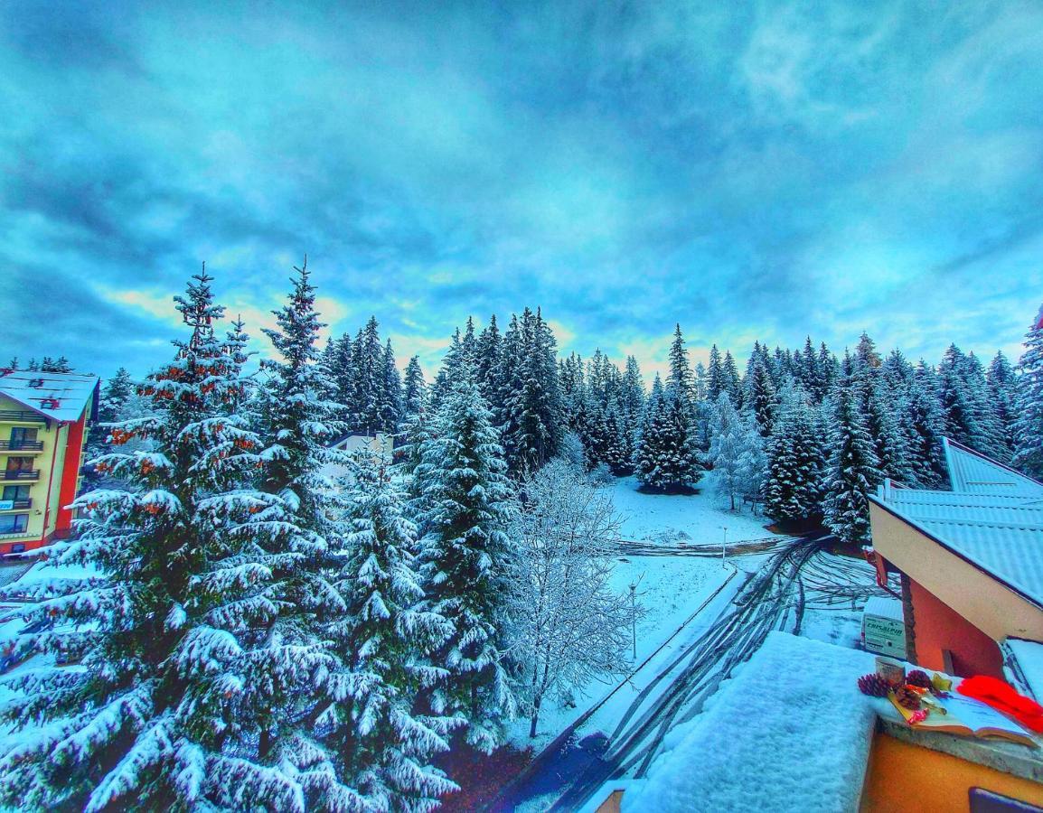 Vila Simonte Poiana Brasov Hotell Exteriör bild
