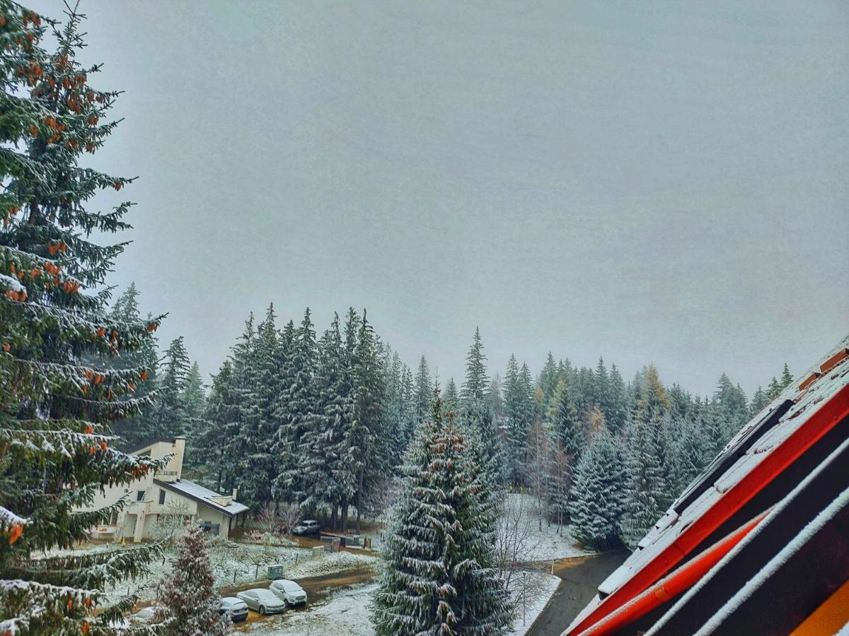 Vila Simonte Poiana Brasov Hotell Exteriör bild