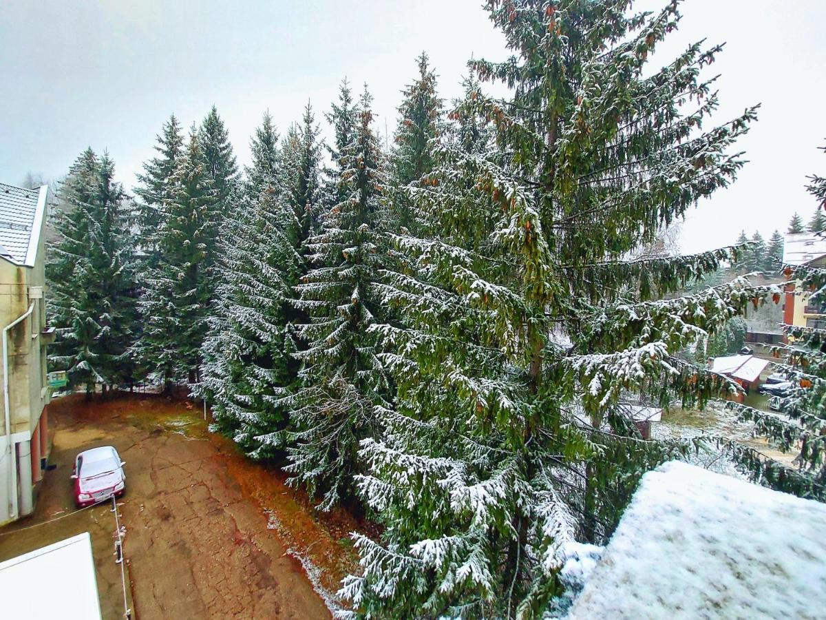 Vila Simonte Poiana Brasov Hotell Exteriör bild